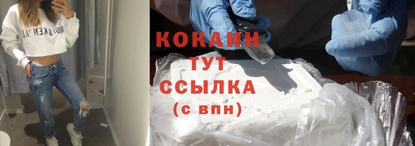 спиды Няндома