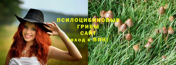 бошки Абаза