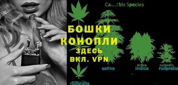 стафф Абдулино