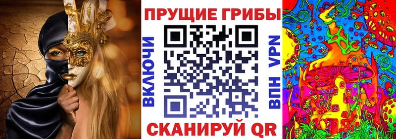кракен маркетплейс  Алейск  Псилоцибиновые грибы Magic Shrooms  купить  