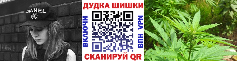 где найти   Алейск  Шишки марихуана ГИДРОПОН 